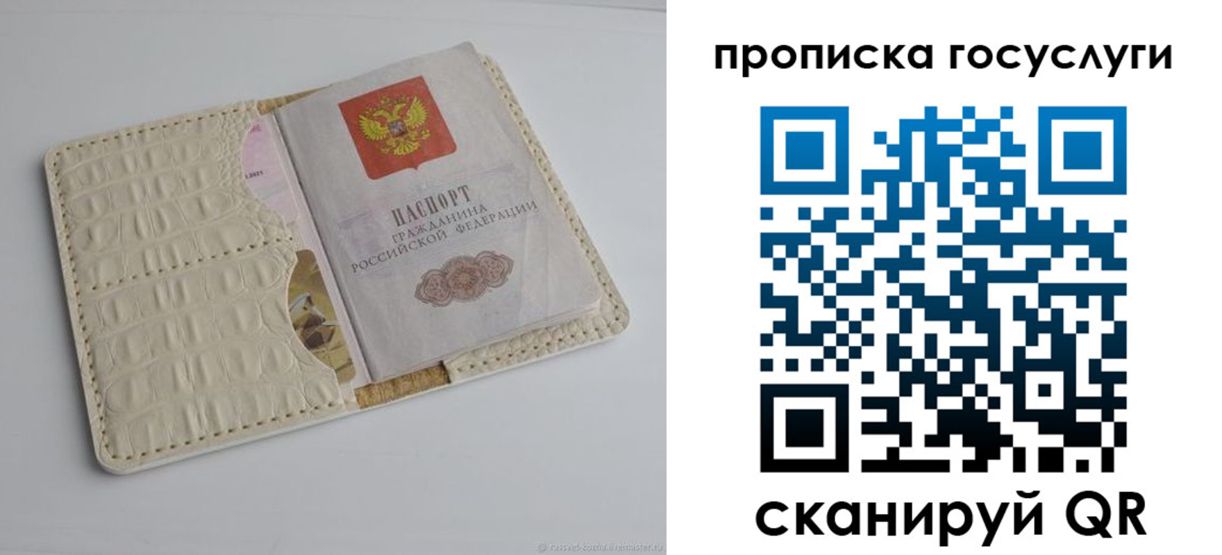 прописка законно в Мытищах